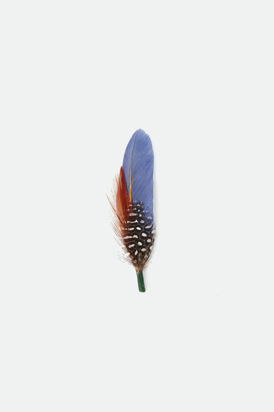 Accesorios Brixton Frank Universal Hat Feather Unisex Azules | 038695AUZ